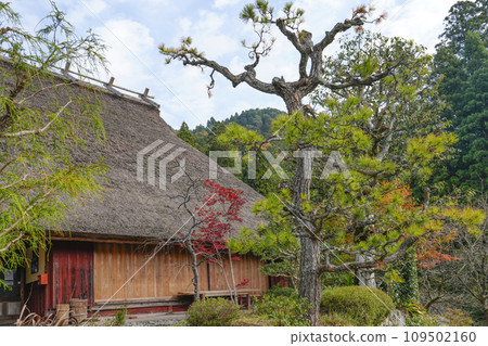 日本的原始風景(秋天的深山茅吹之裡) 日本的原始風景(秋天的深山茅吹之裡) 109502160
