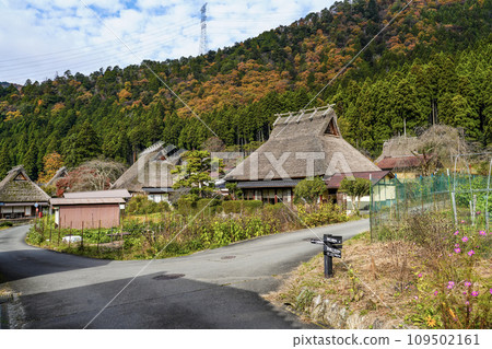 日本的原始風景（秋天的深山茅吹之裡） 109502161
