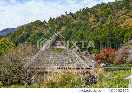 日本的原始風景(秋天的深山茅吹之裡) 日本的原始風景(秋天的深山茅吹之裡) 109502165