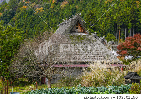 日本的原始風景(秋天的深山茅吹之裡) 日本的原始風景(秋天的深山茅吹之裡) 109502166