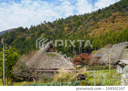 日本的原始風景(秋天的深山茅吹之裡) 日本的原始風景(秋天的深山茅吹之裡) 109502167