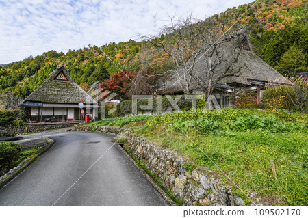 日本的原始風景（秋天的深山茅吹之裡） 109502170
