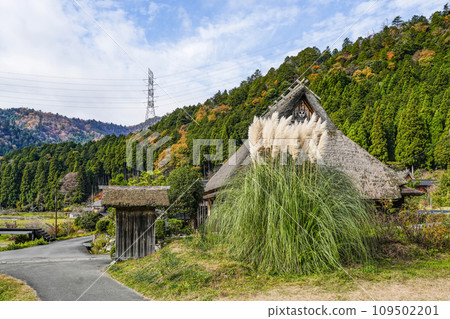 日本的原始風景（秋天的深山茅吹之裡） 109502201