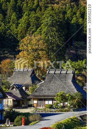 日本的原始風景（秋天的深山茅吹之裡） 109502210