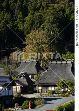 日本的原始風景（秋天的深山茅吹之裡） 109502212