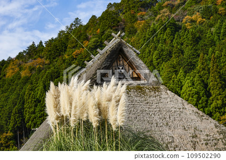 日本的原始風景（秋天的深山茅吹之裡） 109502290