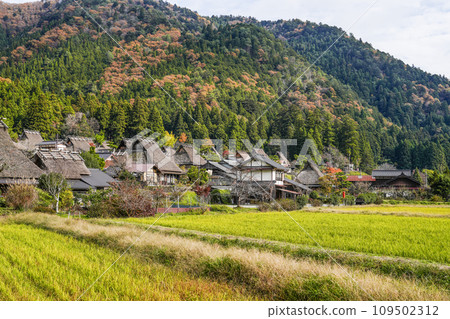 Original scenery of Japan (Autumn Miyama Kayabuki no Sato) Original scenery of Japan (Autumn Miyama Kayabuki no Sato) 109502312