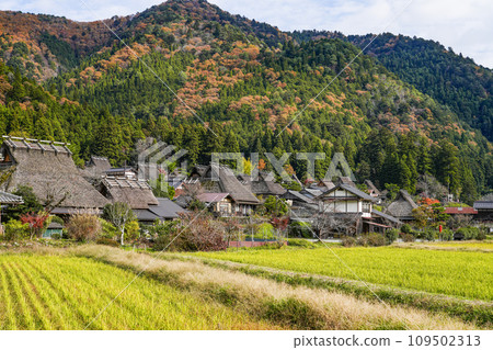 Original scenery of Japan (Autumn Miyama Kayabuki no Sato) 109502313
