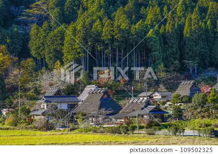 Original scenery of Japan (Autumn Miyama Kayabuki no Sato) 109502325