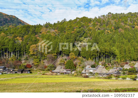 日本的原始風景(秋天的深山茅吹之裡) 日本的原始風景(秋天的深山茅吹之裡) 109502337