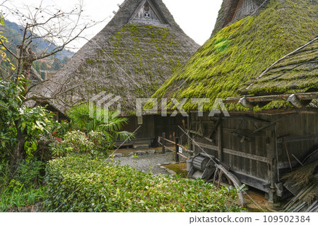 Original scenery of Japan (Miyama Folklore Museum) 109502384