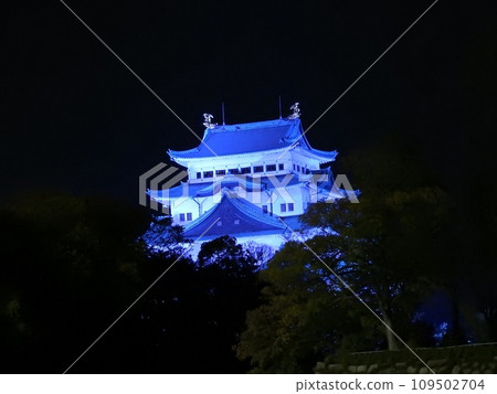 Blue light up of Nagoya Castle 109502704