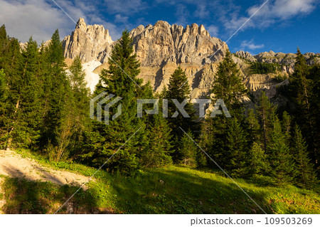 Amazing views of the picturesque high Dolomites mountains, lawns and forest Amazing views of the picturesque high Dolomites mountains, lawns and forest 109503269