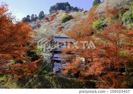 Kawami Shikizakura and private houses 2 109503407