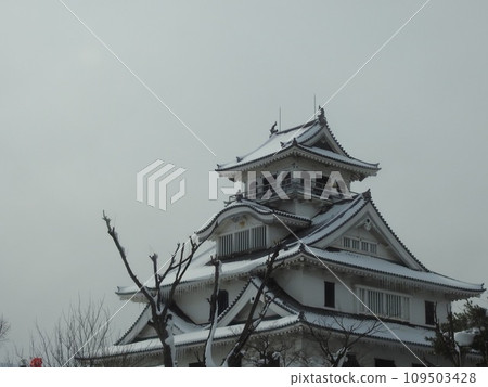 Nagahama Castle and dusk Nagahama Castle and dusk 109503428