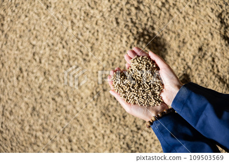 Top view of hands holding calf feed at stock yard Top view of hands holding calf feed at stock yard 109503569