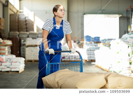 In warehouse of store, loader young woman pushes and carries large cart for bulky cargo In warehouse of store, loader young woman pushes and carries large cart for bulky cargo 109503699