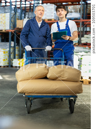 Guy check papers invoices with elderly male employee and revise availability of goods in stock Guy check papers invoices with elderly male employee and revise availability of goods in stock 109503701