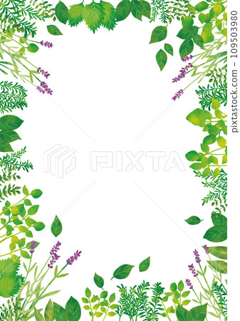 水彩風格藥草框架垂直 水彩風格藥草框架垂直 109503980