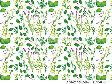 Watercolor style herb pattern Watercolor style herb pattern 109503982