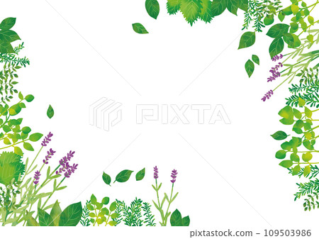 Watercolor style herb frame corner Watercolor style herb frame corner 109503986