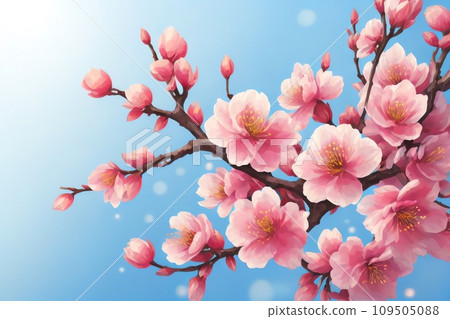 梅花背景 109505088