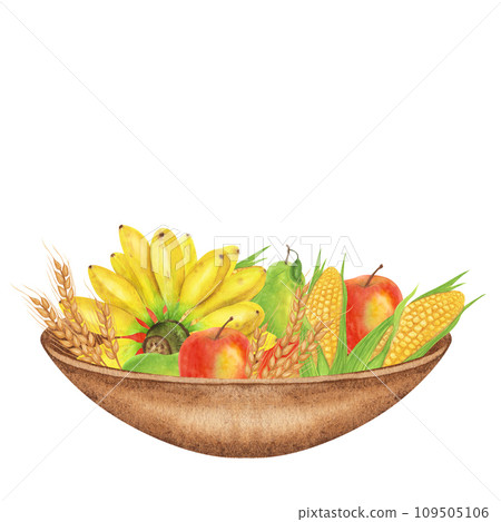 Wooden bowl with bunch yellow bananas, corn, wheat, apple pear. Harvest festival. Thanksgiving, Kwanzaa, card decoration. Hand drawn watercolor illustration isolated background. Wooden bowl with bunch yellow bananas, corn, wheat, apple pear. Harvest festival. Thanksgiving, Kwanzaa, card decoration. Hand drawn watercolor illustration isolated background. 109505106