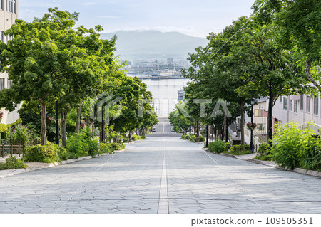 A popular tourist spot in Hakodate City, Hokkaido: ``Hachimanzaka'', a slope that leads to the sea 109505351