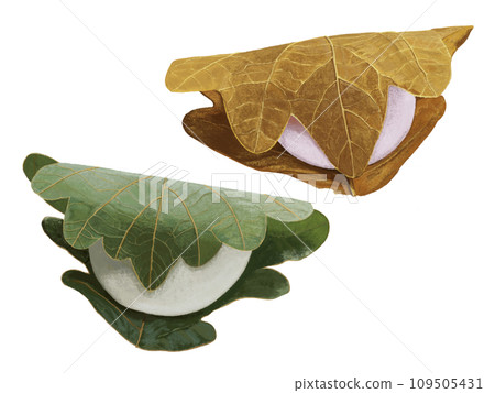 Kashiwa mochi (red and white mochi, green and brown) 109505431