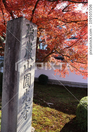 圓光寺、京都市左京區、一乘寺站、睿山電鐵、京阪電鐵、紅葉、紅葉觀賞、觀光、禦朱院、入境 圓光寺、京都市左京區、一乘寺站、睿山電鐵、京阪電鐵、紅葉、紅葉觀賞、觀光、禦朱院、入境 109505506