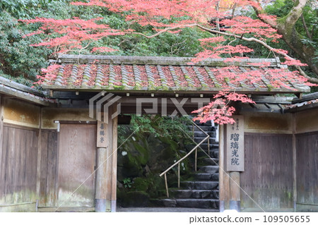 Rurikoin Eizan Electric Railway Yasehieizanguchi Station Autumn leaves Fall foliage viewing Autumn Photo spot Overtourism Rurikoin Eizan Electric Railway Yasehieizanguchi Station Autumn leaves Fall foliage viewing Autumn Photo spot Overtourism 109505655