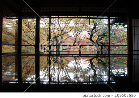 Rurikoin Eizan Electric Railway Yasehieizanguchi Station Autumn leaves Fall foliage viewing Autumn Photo spot Overtourism 109505680