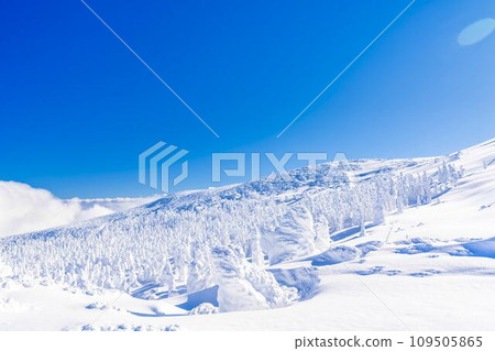 藍天與藏王霜雪怪 山形縣山形市 藍天與藏王霜雪怪 山形縣山形市 109505865