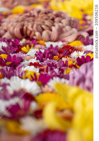 一個裝滿菊花的花碗 一個裝滿菊花的花碗 109506216