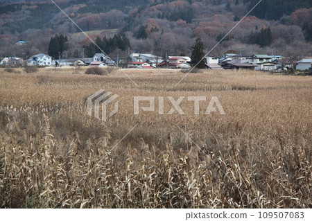 A mountain village surrounded by abandoned farmland 109507083