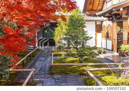 秋天的京都，大德寺，光林院，唐門被秋葉覆蓋 109507102