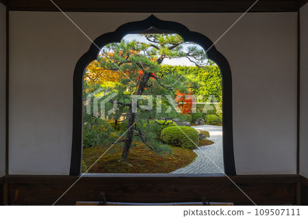 京都的秋天,大德寺,光林院,從火窗看到的花園 京都的秋天,大德寺,光林院,從火窗看到的花園 109507111