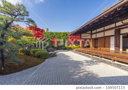 Autumn Kyoto, Daitokuji sub-temple, Korin-in, Hojo front garden with beautiful autumn leaves Autumn Kyoto, Daitokuji sub-temple, Korin-in, Hojo front garden with beautiful autumn leaves 109507115