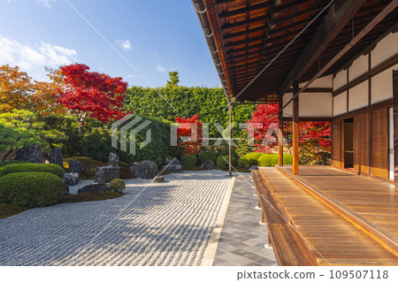 秋天的京都、大德寺、光林院、北條前庭，秋葉美麗 109507118
