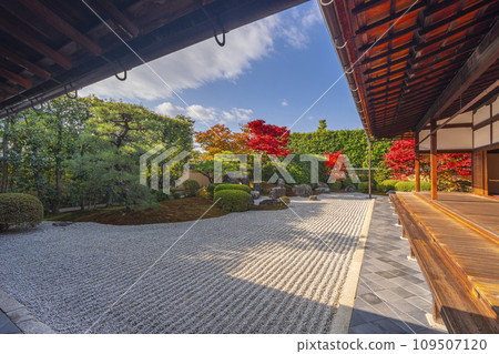 秋天的京都、大德寺、光林院、北條前庭，秋葉美麗 109507120