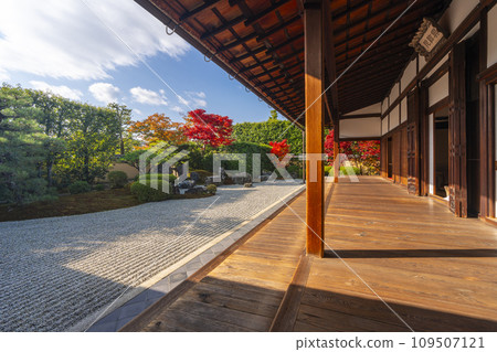 秋天的京都、大德寺、光林院、北條前庭，秋葉美麗 109507121