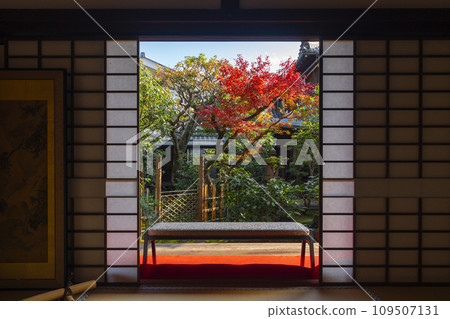 Autumn in Kyoto, Daitokuji sub-temple, Korin-in, Hojo garden with beautiful autumn leaves Autumn in Kyoto, Daitokuji sub-temple, Korin-in, Hojo garden with beautiful autumn leaves 109507131
