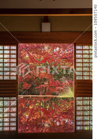 秋天的京都,大德寺,光林院,秋葉的餐桌倒影 秋天的京都,大德寺,光林院,秋葉的餐桌倒影 109507140