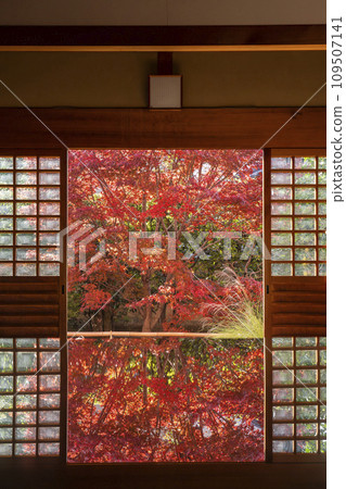 秋天的京都，大德寺，光林院，秋葉的餐桌倒影 109507141