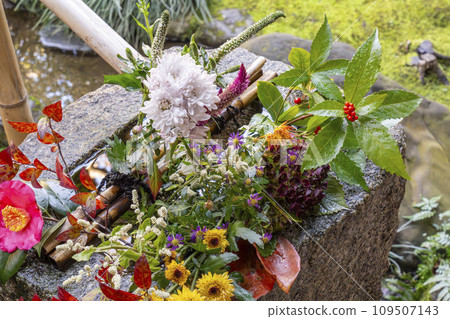 京都、大德寺、光林院長缽 109507143