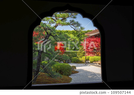 京都的秋天，大德寺，光林院，從火窗看到的花園 109507144