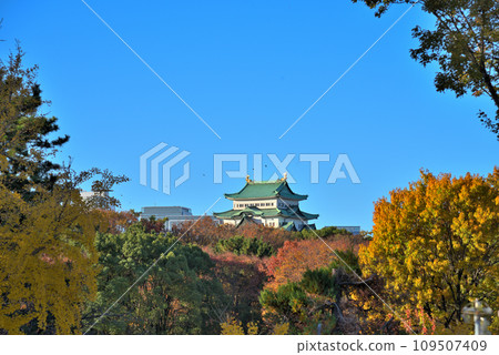 [Aichi Prefecture] Nagoya Castle dyed with autumn leaves 109507409