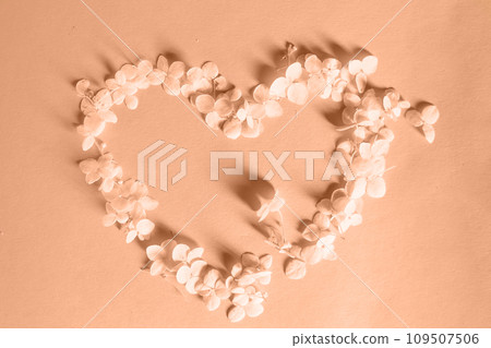 Heart symbol made of Peach Fuzz hydrangea flower petals on a background 109507506