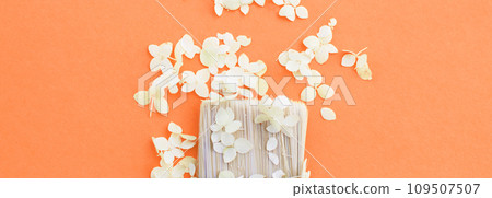 white hydrangea flowers and paint brush on a Peach Fuzz background with copy space. 109507507