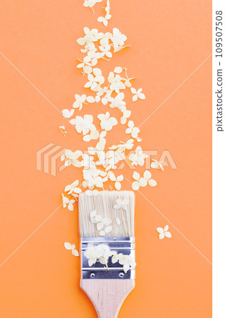 white hydrangea flowers and paint brush on a Peach Fuzz background with copy space. white hydrangea flowers and paint brush on a Peach Fuzz background with copy space. 109507508